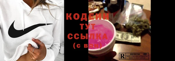 ПСИЛОЦИБИНОВЫЕ ГРИБЫ Арсеньев