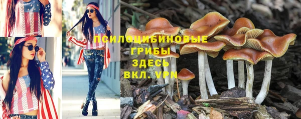 ПСИЛОЦИБИНОВЫЕ ГРИБЫ Арсеньев