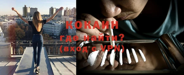 ПСИЛОЦИБИНОВЫЕ ГРИБЫ Арсеньев