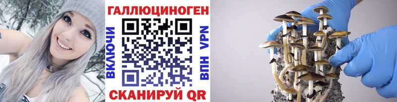 хочу   Валдай  мега вход  Галлюциногенные грибы Magic Shrooms 